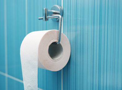 Toilet pappers roll in bathroom